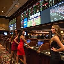 maluku togel mobile app interface on Android device showing sportsbook and live-dealer options